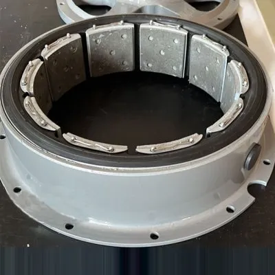 Embreagem Pneumática Radial Ventilada - 2