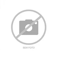 Freios e Embreagens Pneumáticos